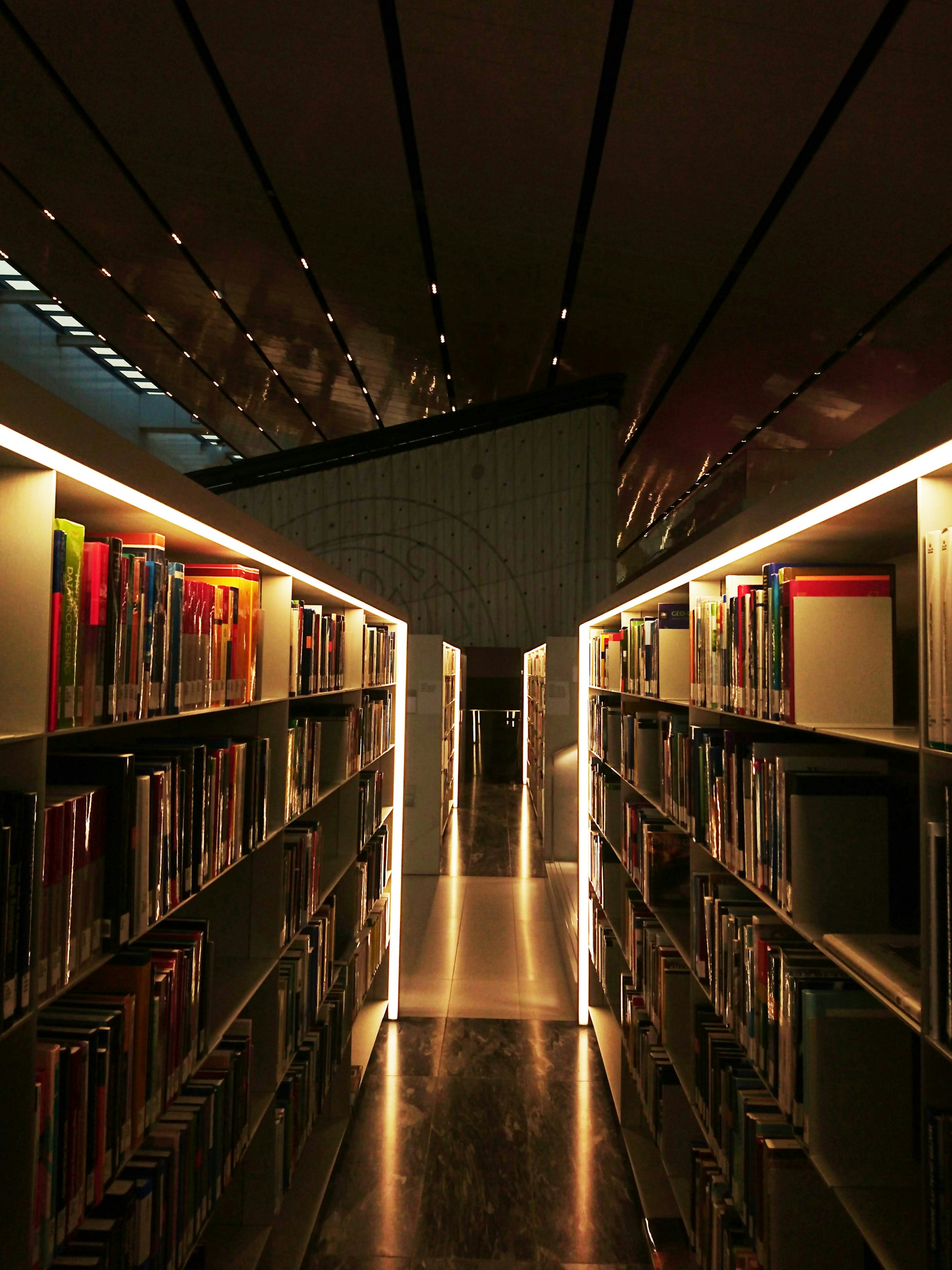books on shelves in library