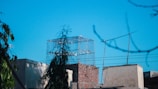 An outdoor view showing multiple pigeon safety nets on rooftops.