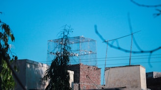 Photo of a bird control setup on a Sydney rooftop.