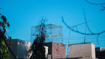 An outdoor view showing multiple pigeon safety nets on rooftops.