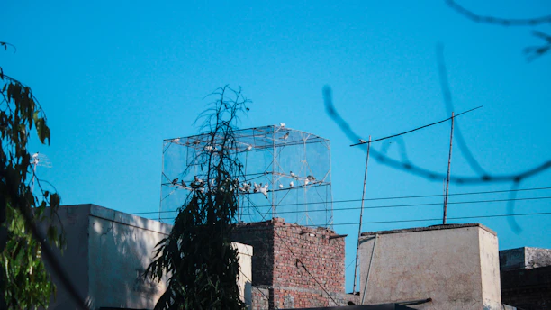 A clean, bird-free commercial rooftop protected by sturdy nylon bird nets.
