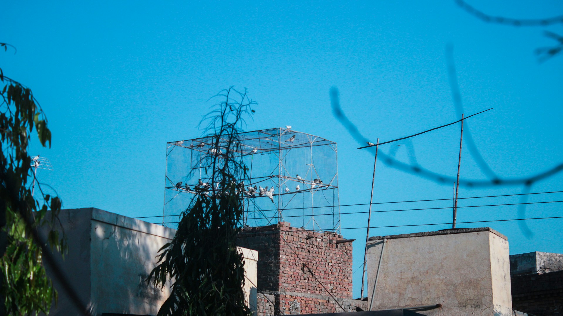 gray computer monitor