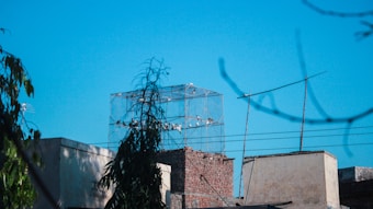 A rooftop with a large birdcage containing several birds. The surrounding buildings are constructed of brick and concrete. There are antennas and wires visible in the forefront, with some leafy branches framing the scene against a bright blue sky.