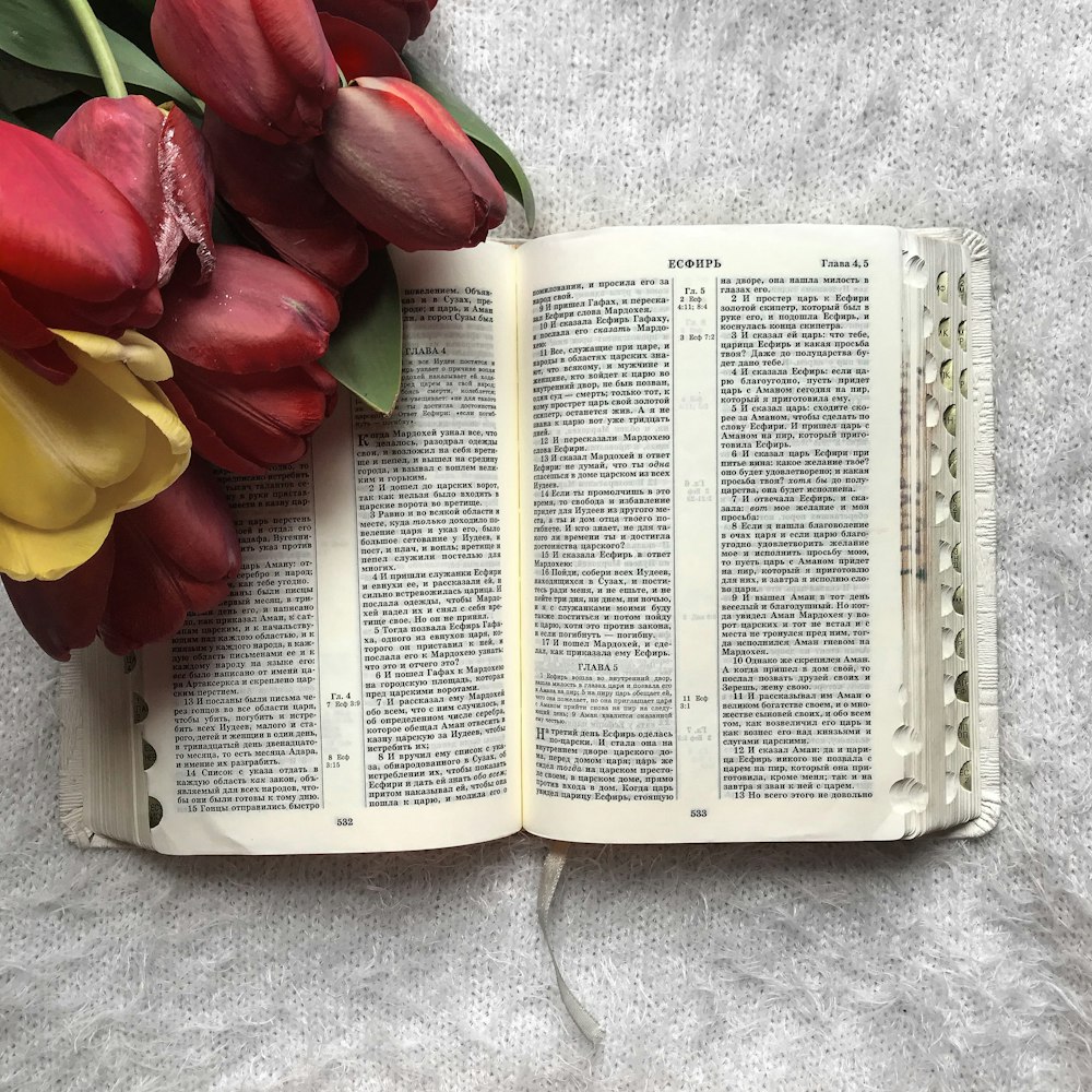 red roses on book page