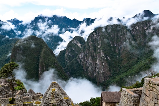 green trees on mountain under white clouds during daytime in Machu Picchu Peru