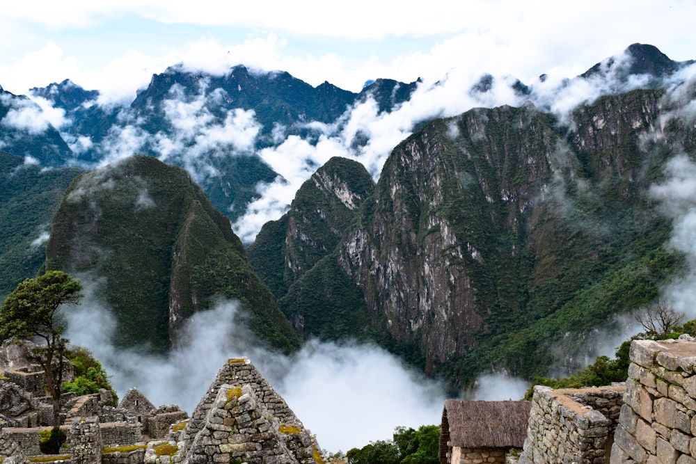 green trees on mountain under white clouds during daytime