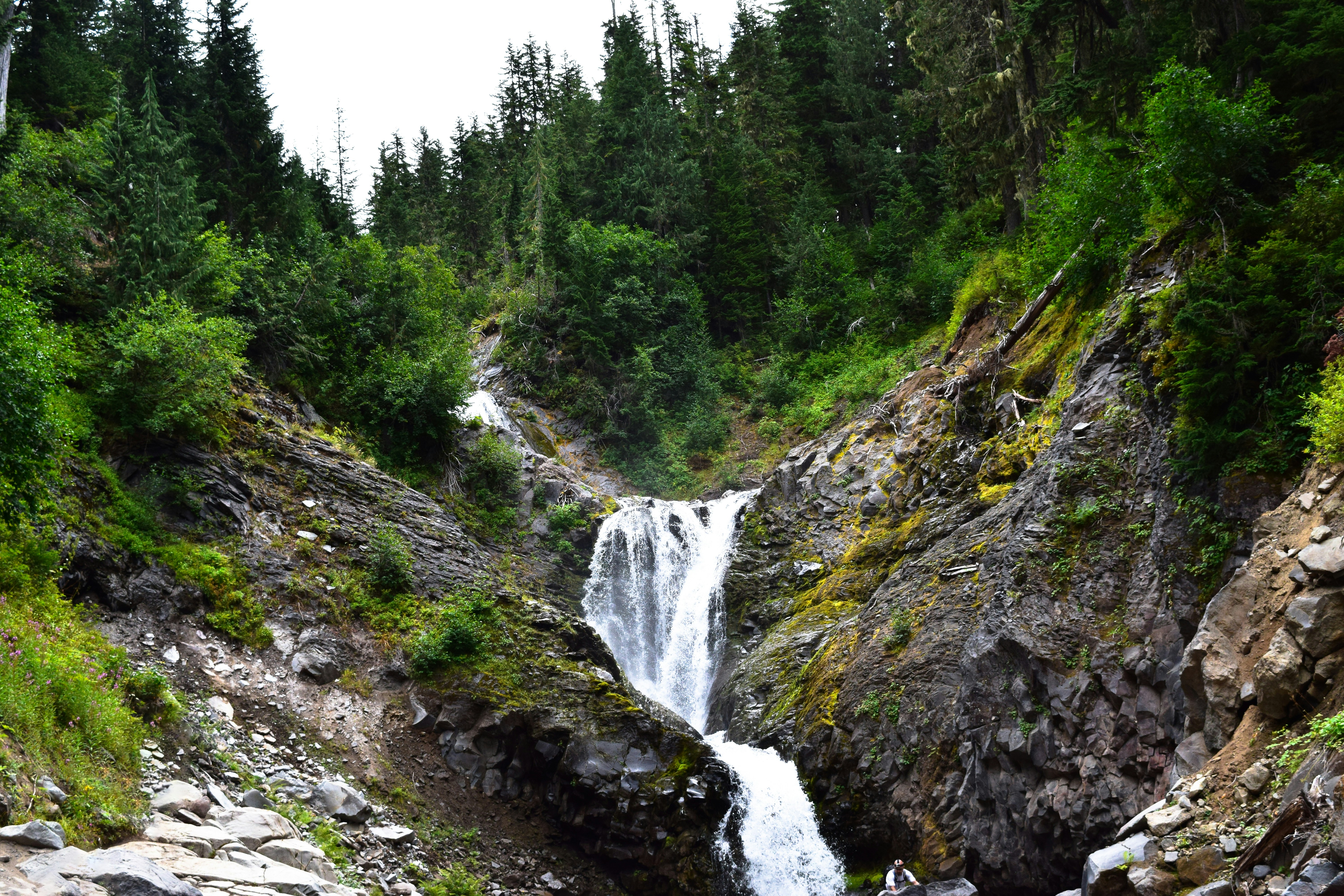 Waterfall in forest