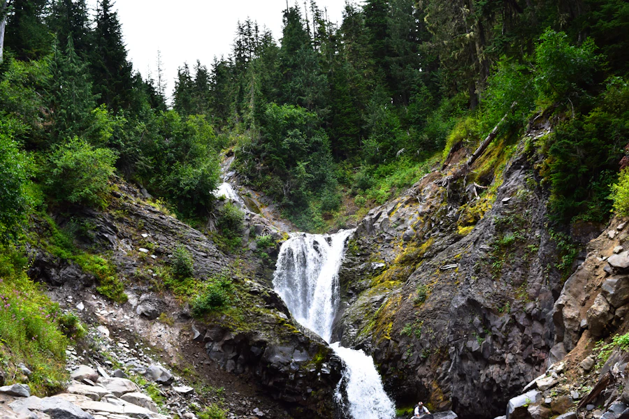 Waterfall in an evergreen forest