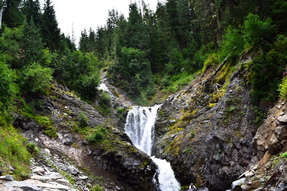 green pine trees near waterfalls during daytime