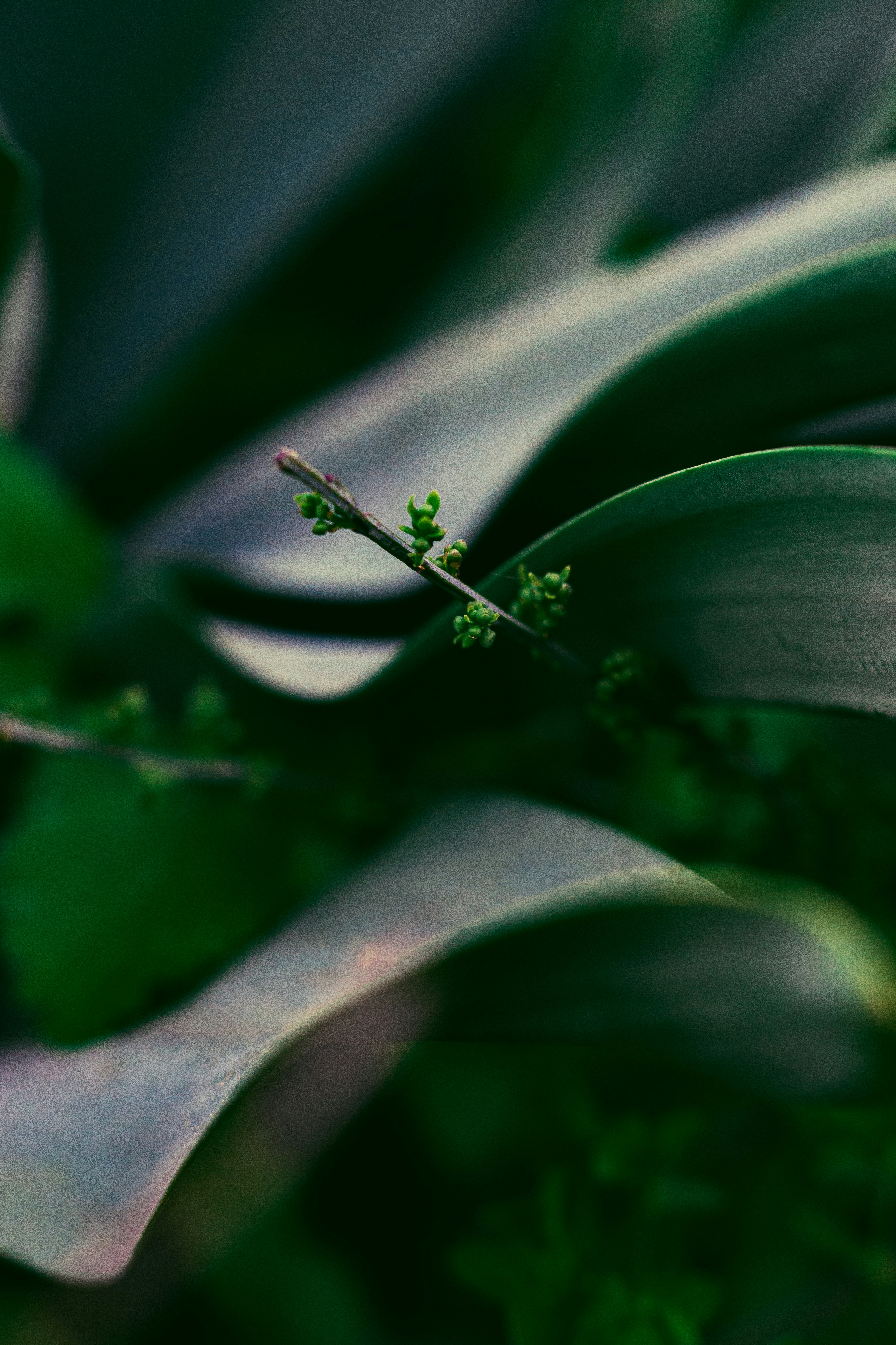 Photo by furkanvari