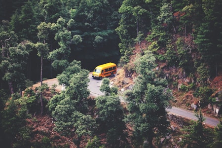 A yellow vehicle navigates a winding road through a dense forest. The image captures the vehicle from a high vantage point, surrounded by tall, green trees and the rugged terrain of the forest road.