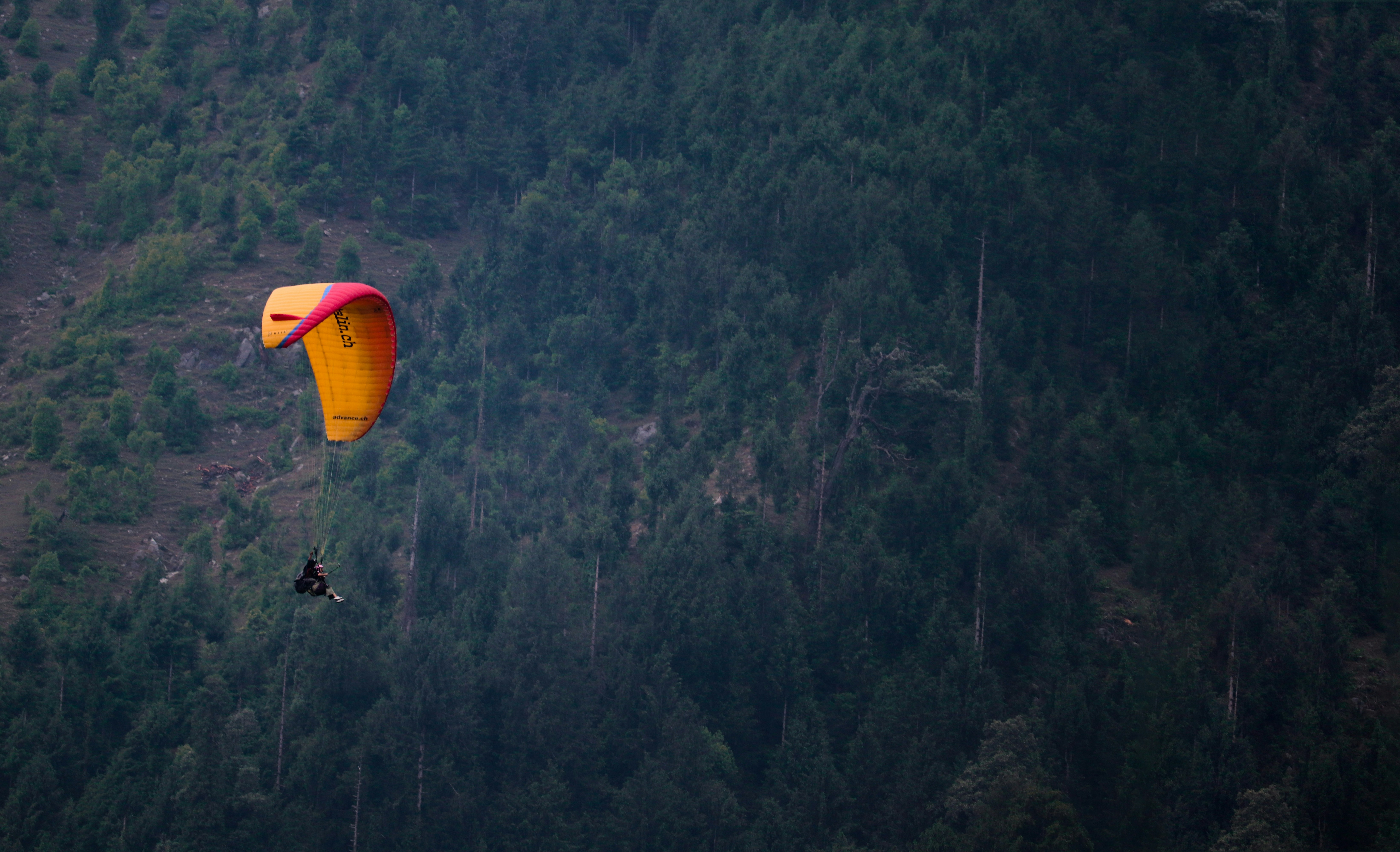 Photo by lensomaniac