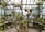 The interior of a greenhouse filled with various potted plants and hanging baskets. Wooden and bamboo structures support the plants, and natural light filters through the glass roof. The space is lush with greenery and colorful flowers, creating an organized yet natural setting.