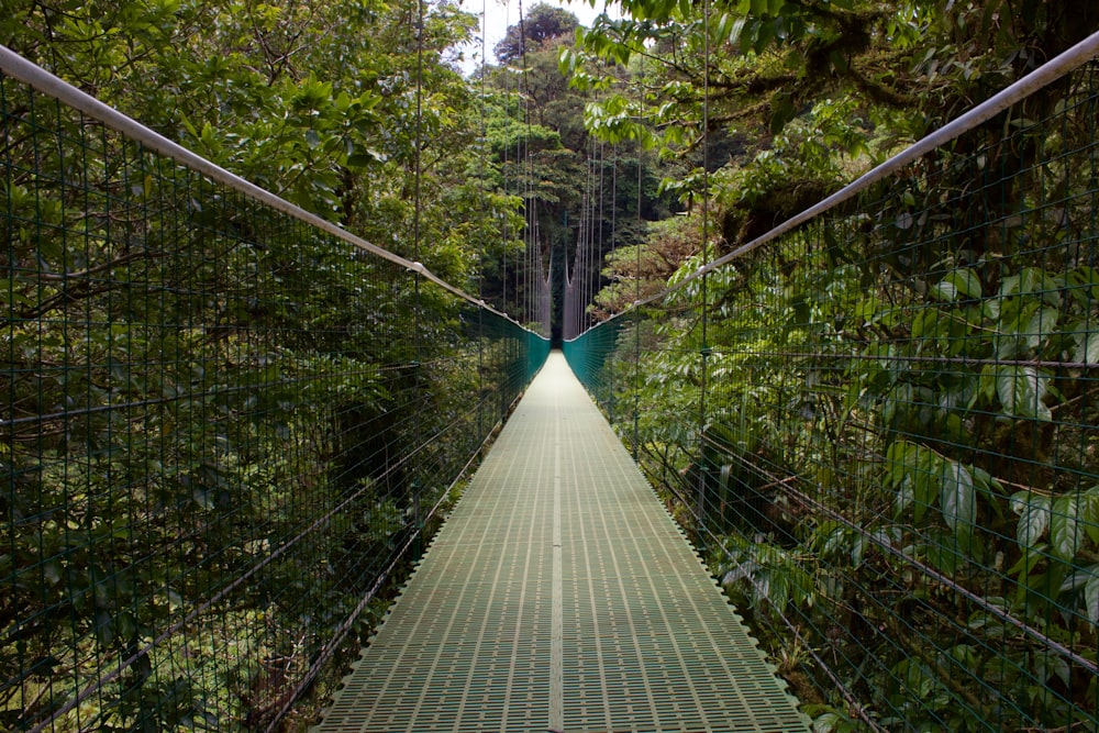 graue Holzbrücke im Wald tagsüber