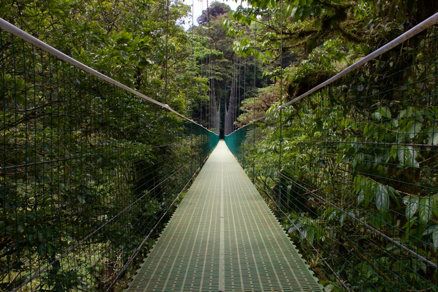 Monteverde Cloud Forest: Costa Rica's Misty Canopy