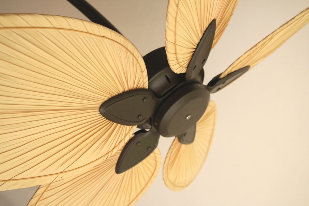 black and brown 5 blade ceiling fan