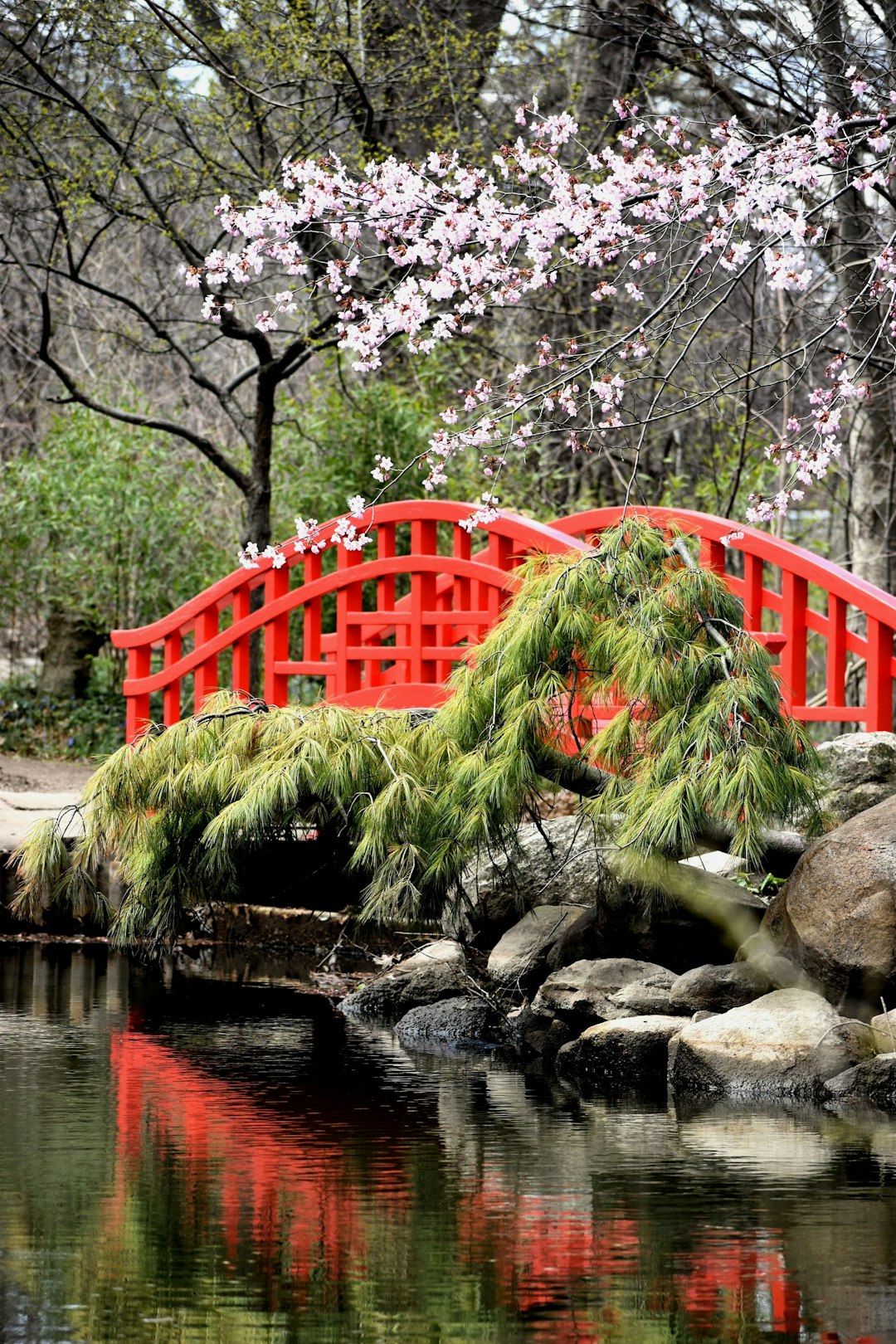 red bridge over river during daytime