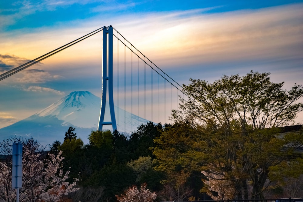 bridge over the clouds during daytime