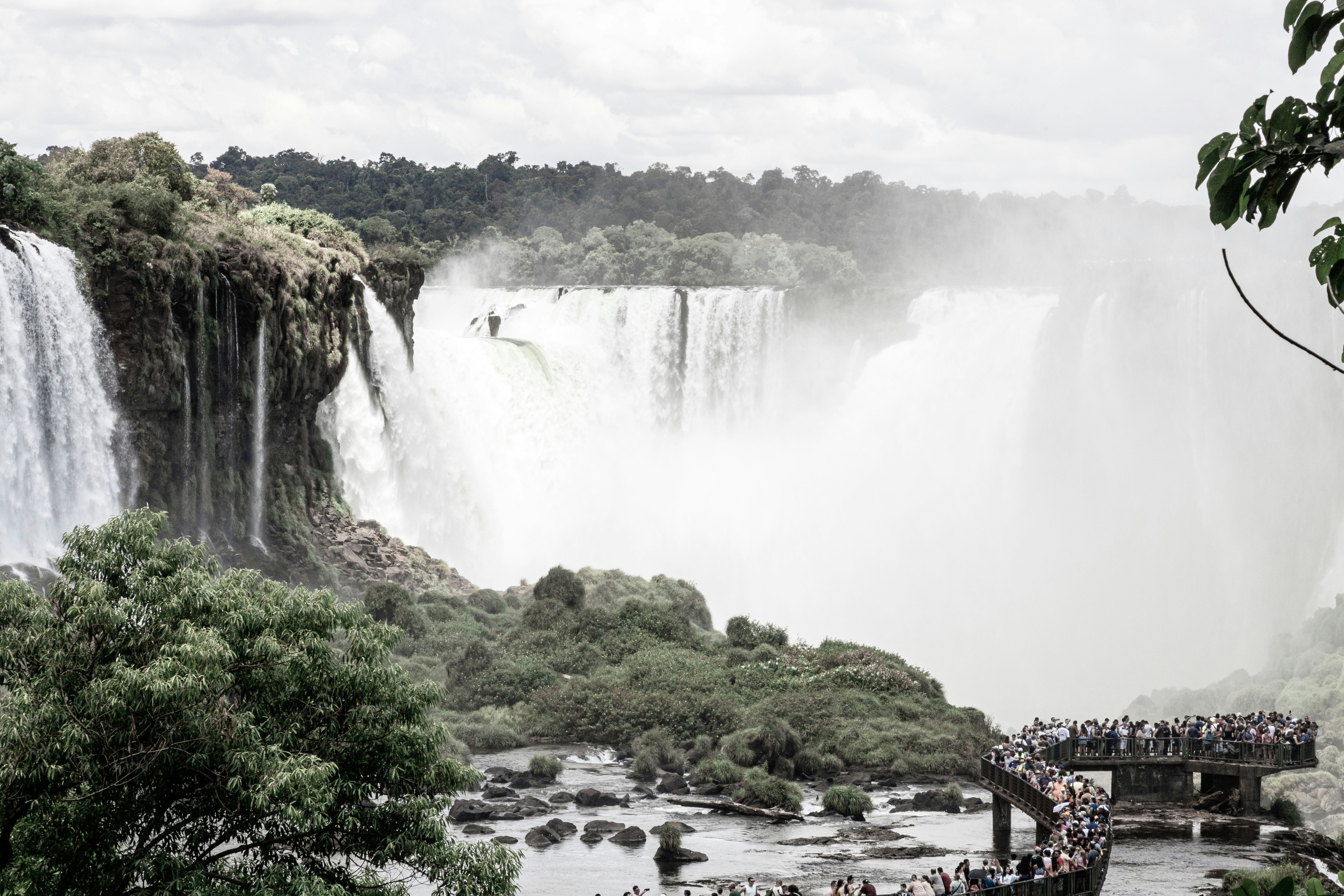 Photo by mportophoto