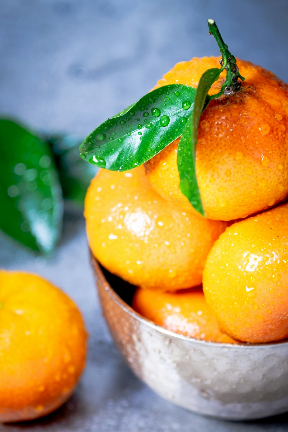 Frutos anaranjados en cubo de acero gris