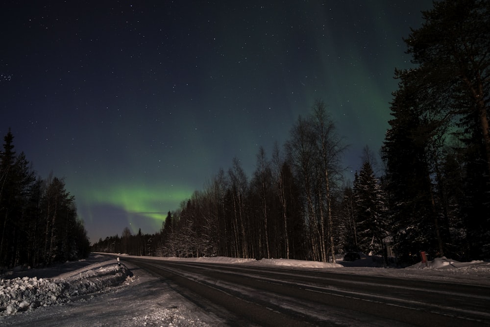 snow covered road during night time