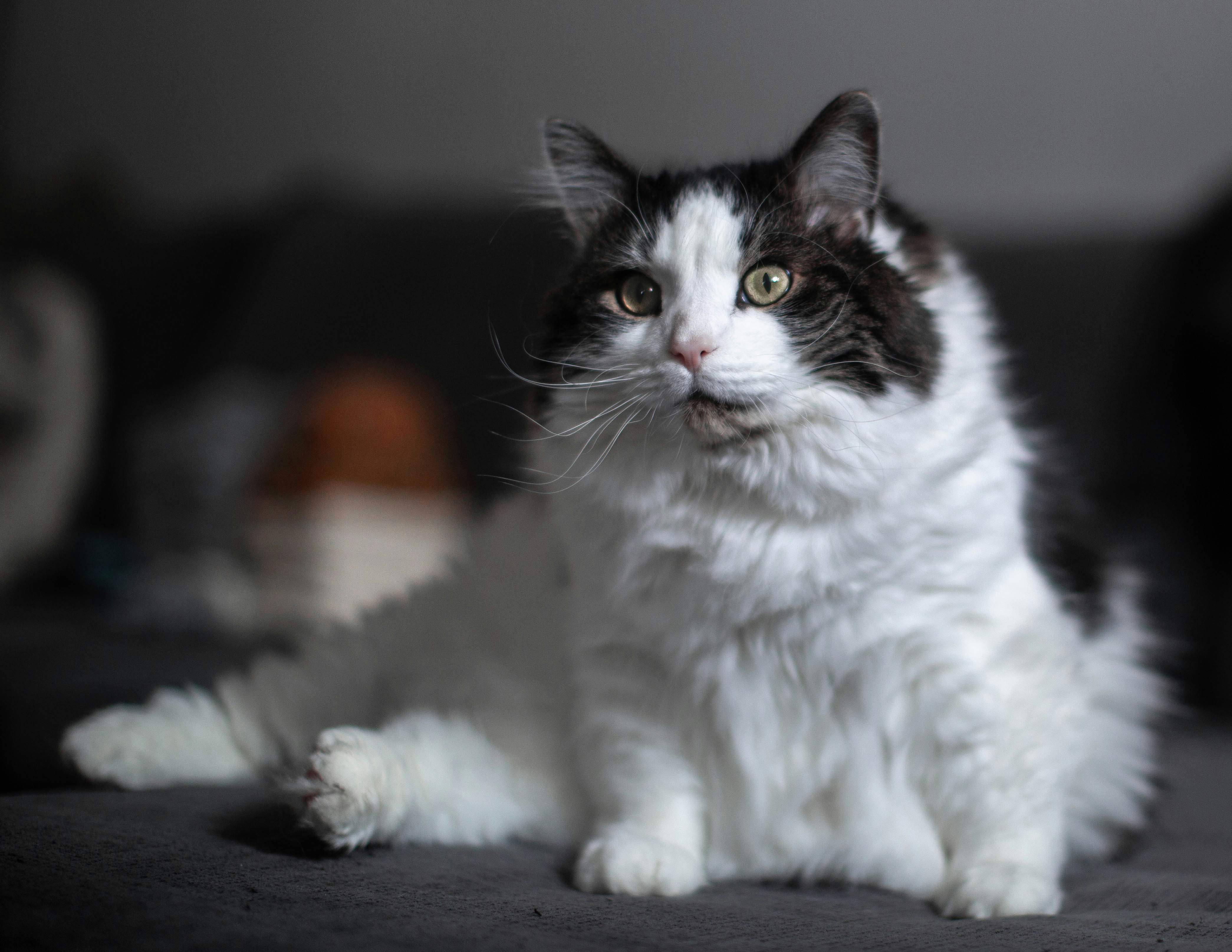 Photo by theshuttervision