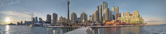 white and brown concrete building near body of water during daytime in Harbourfront Canada