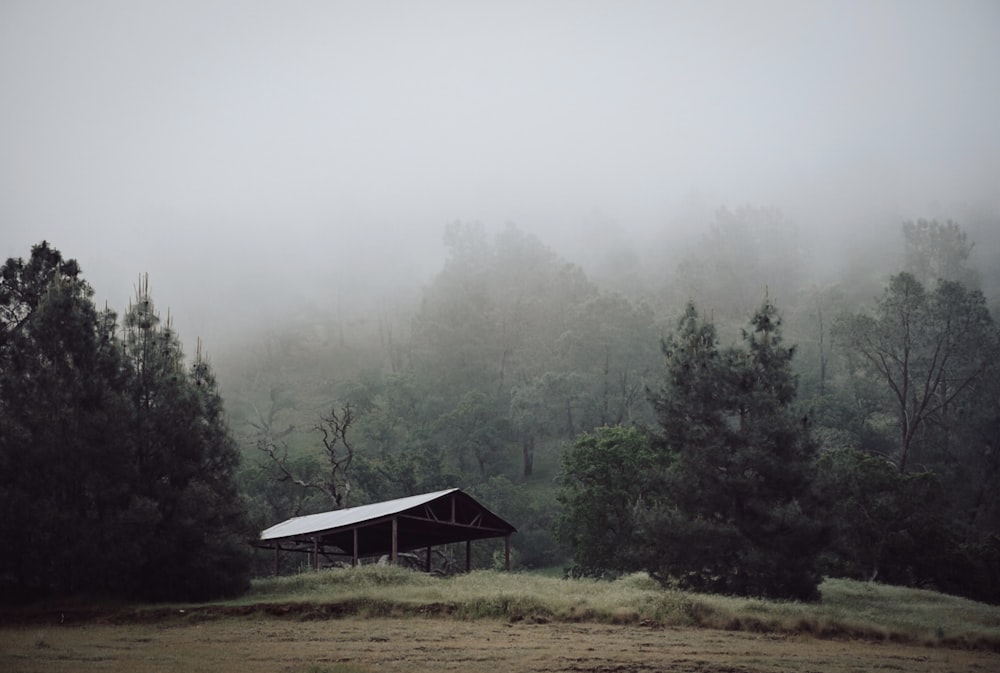 white and brown wooden house on green grass field