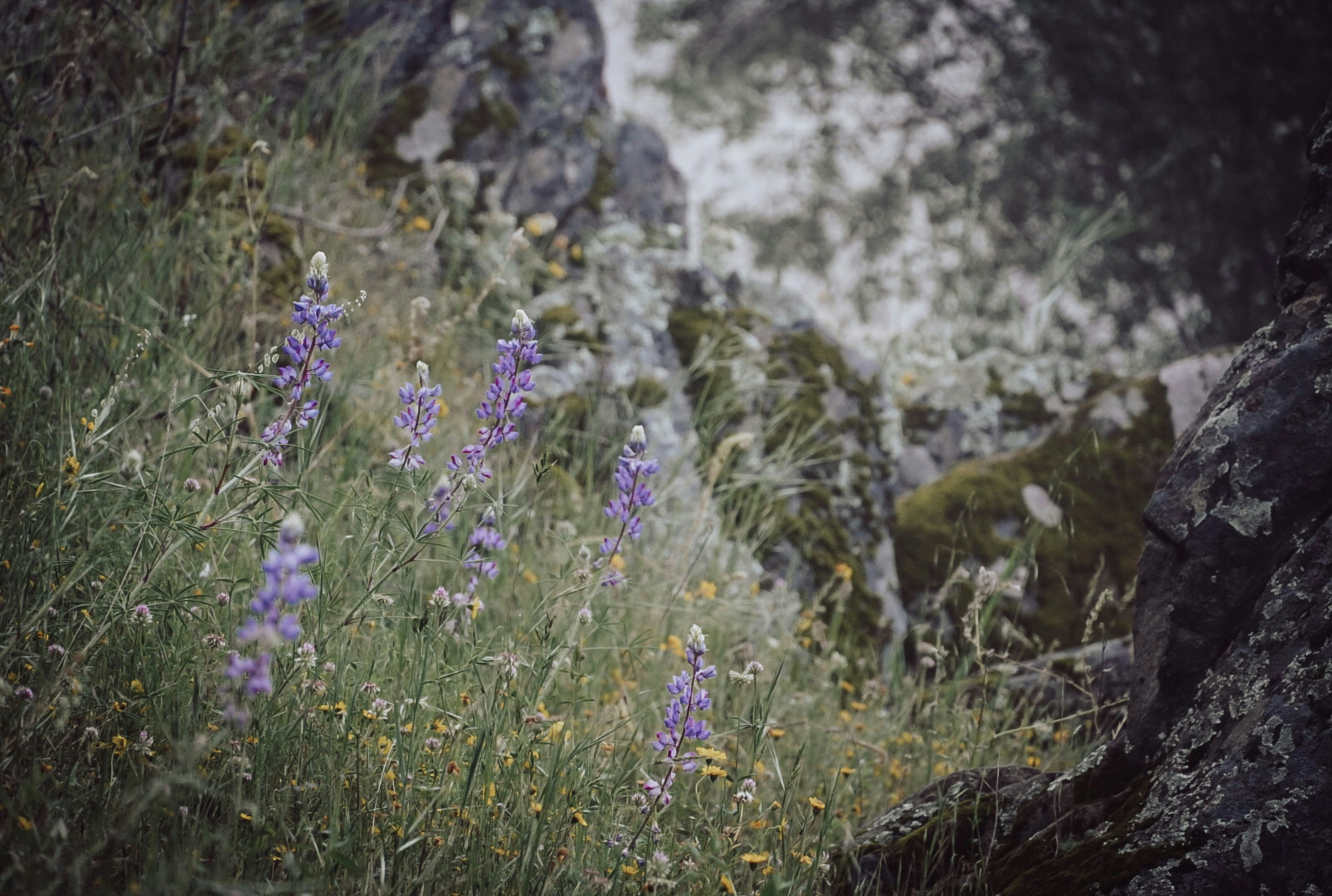 Photo by thalia_s_ruiz