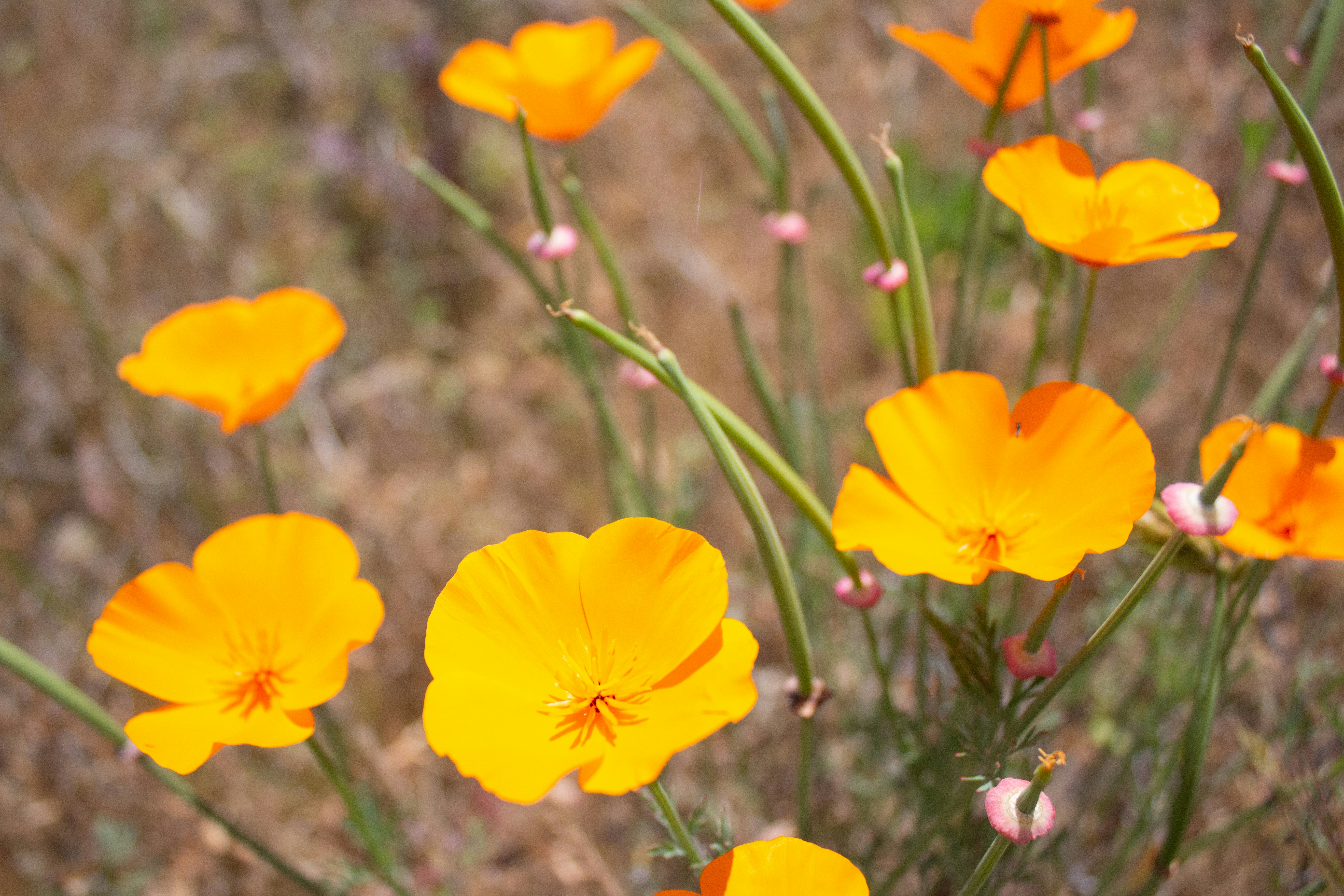 Photo by sunburned_surveyor