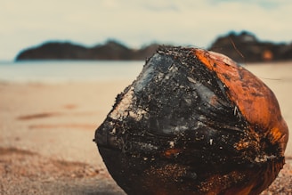 A charred coconut rests on a sandy beach with blurred islands or landforms visible in the background. The texture of the coconut is rough, with dark black and brown patches indicating it has been burnt. The sand appears fine and light-colored, and the sky is overcast with soft lighting.