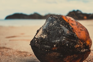 A charred coconut rests on a sandy beach with blurred islands or landforms visible in the background. The texture of the coconut is rough, with dark black and brown patches indicating it has been burnt. The sand appears fine and light-colored, and the sky is overcast with soft lighting.