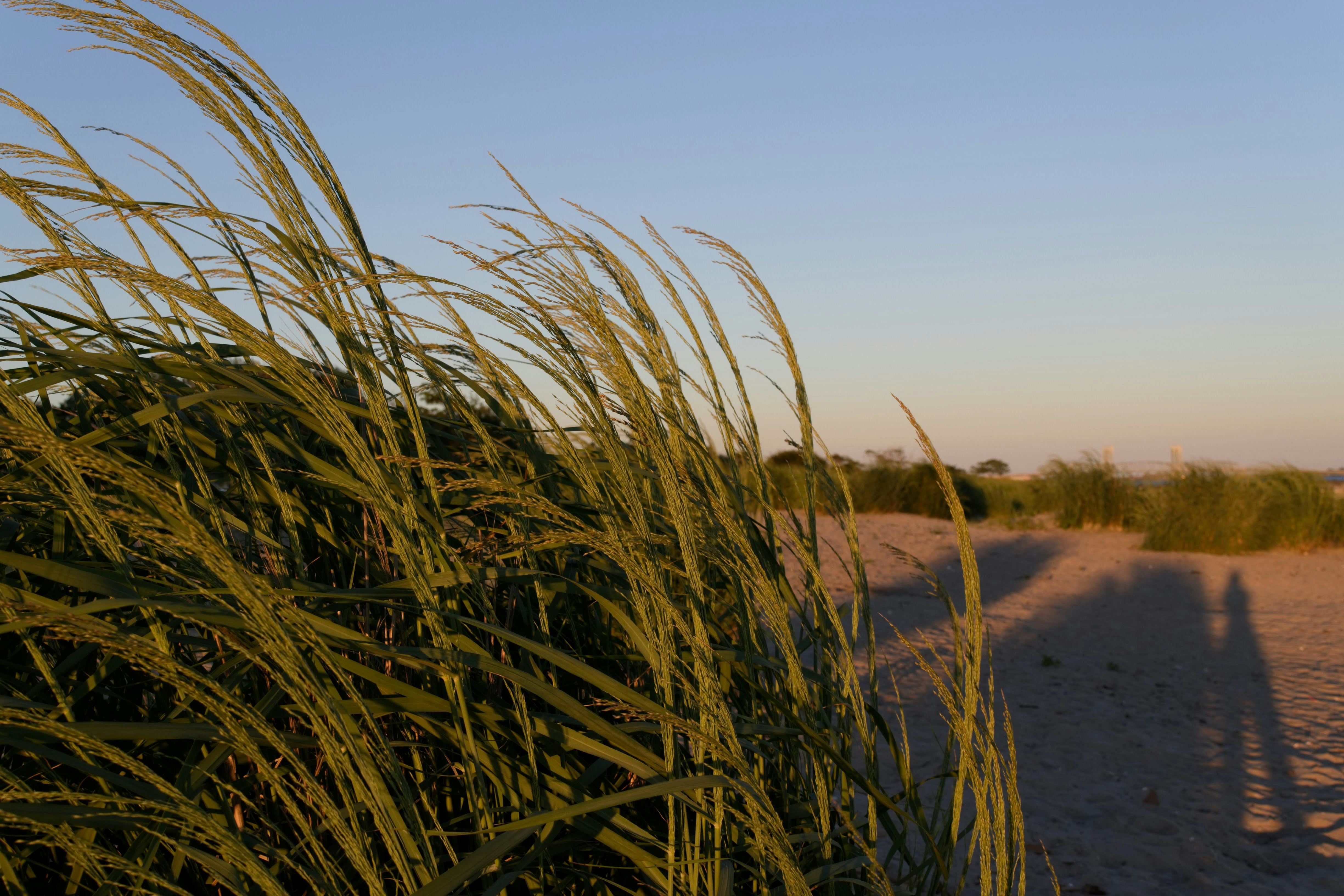 Photo by newyork_creator