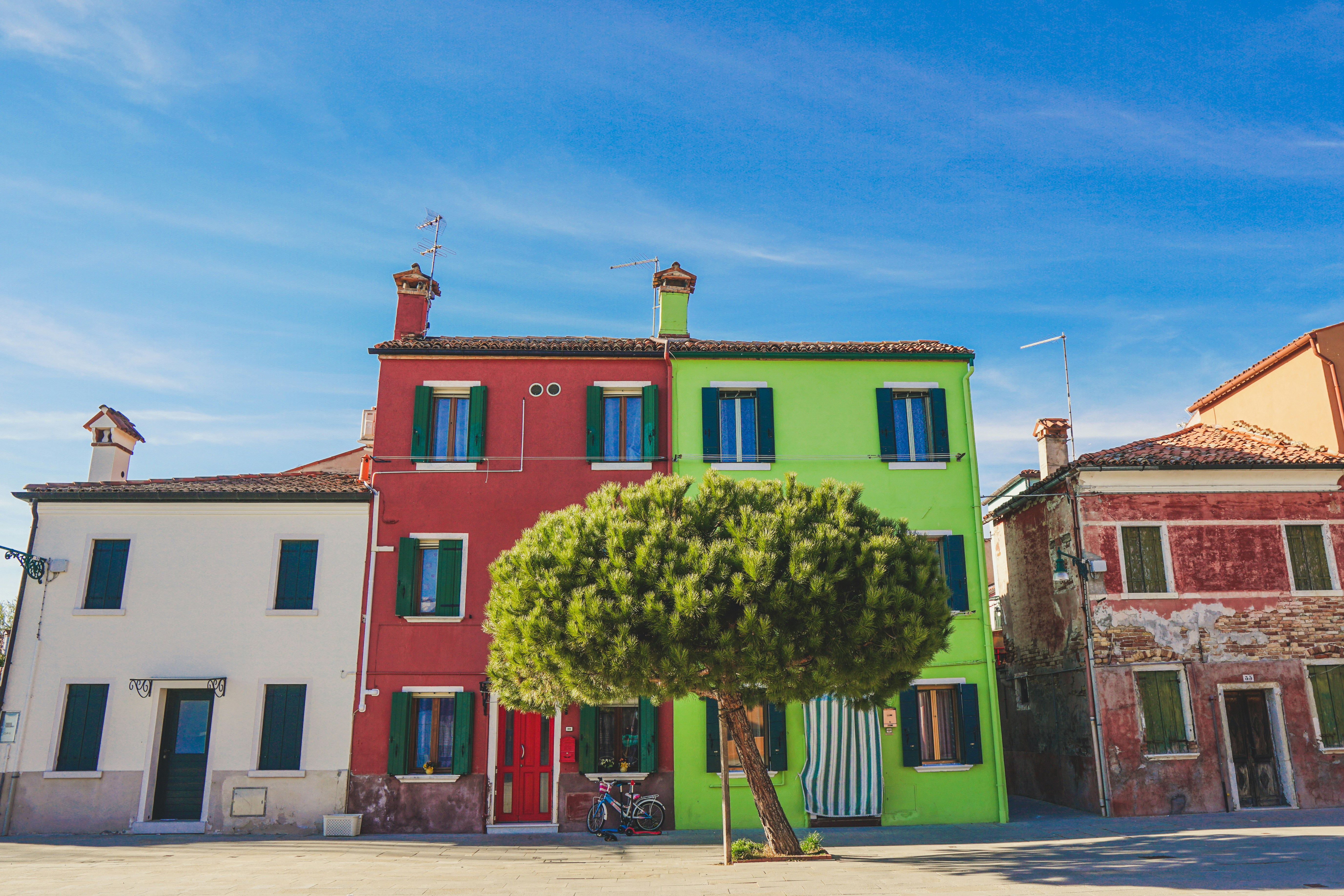 green tree in front of red and white concrete building