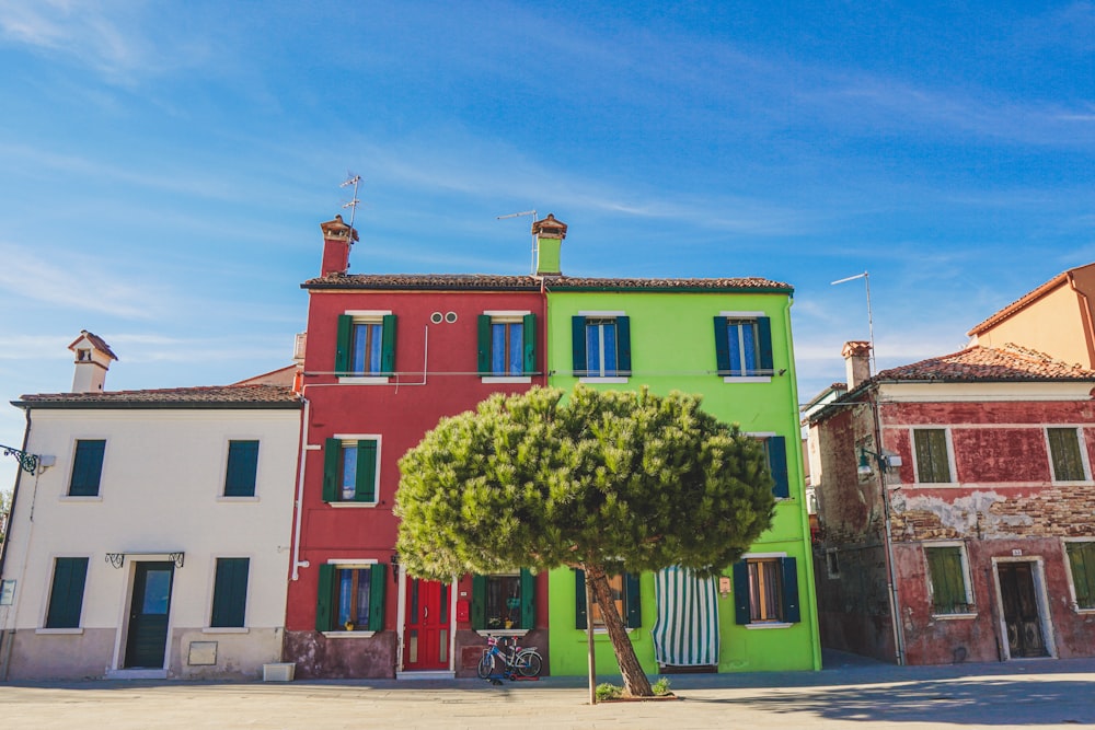 Arbre vert devant un bâtiment en béton rouge et blanc