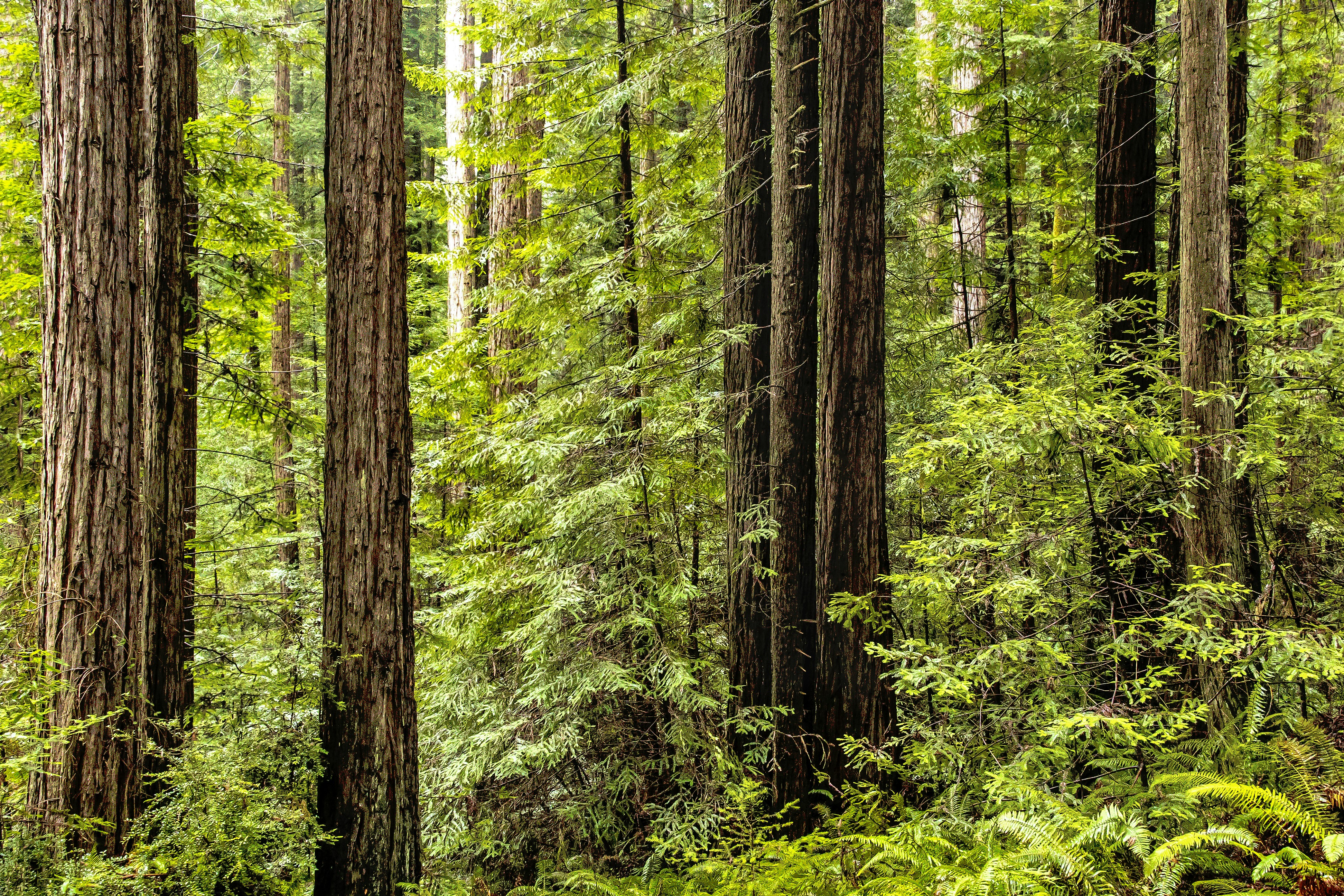 Photo by sterlinglanier