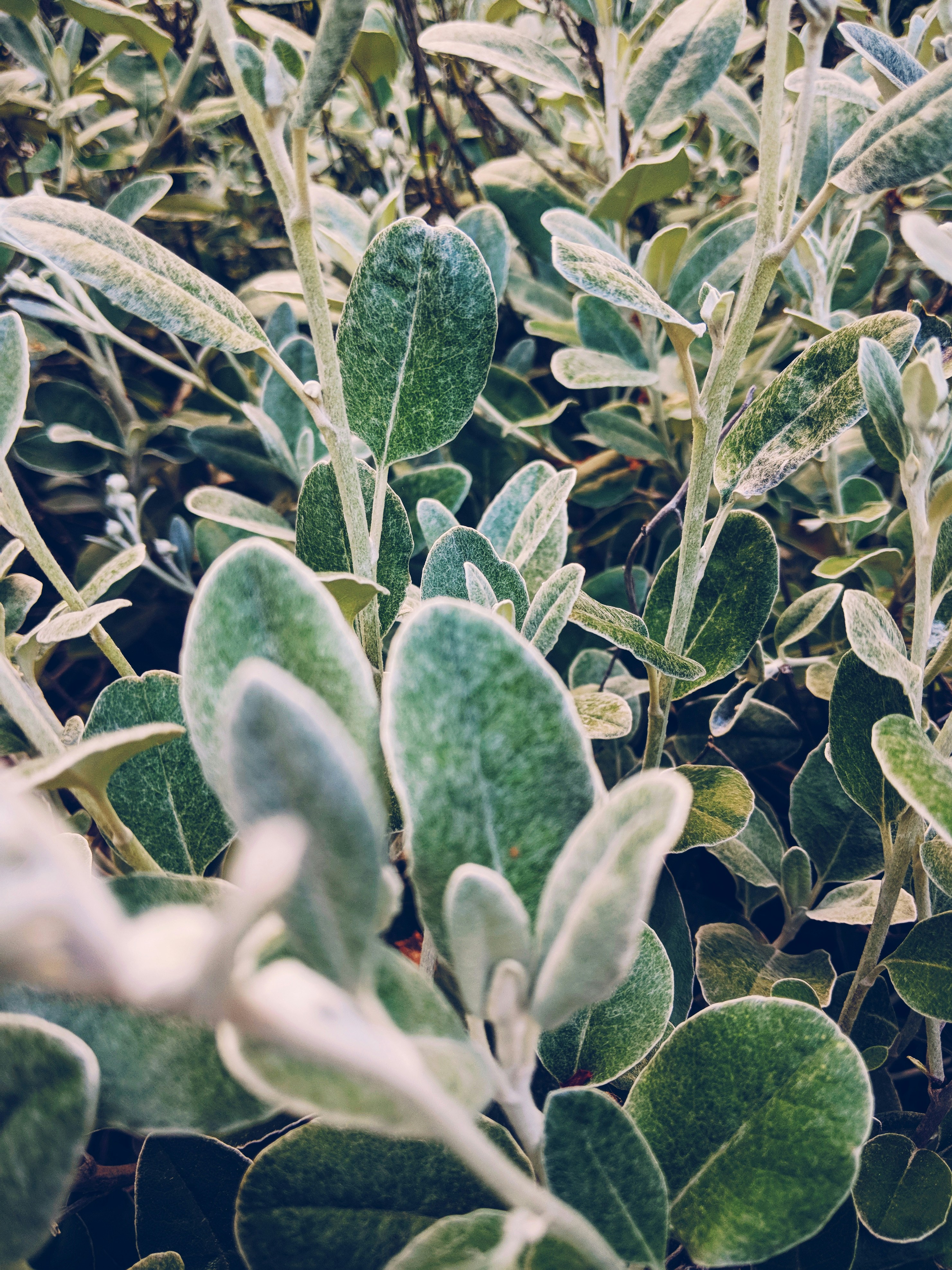 Photo by andrewwolff