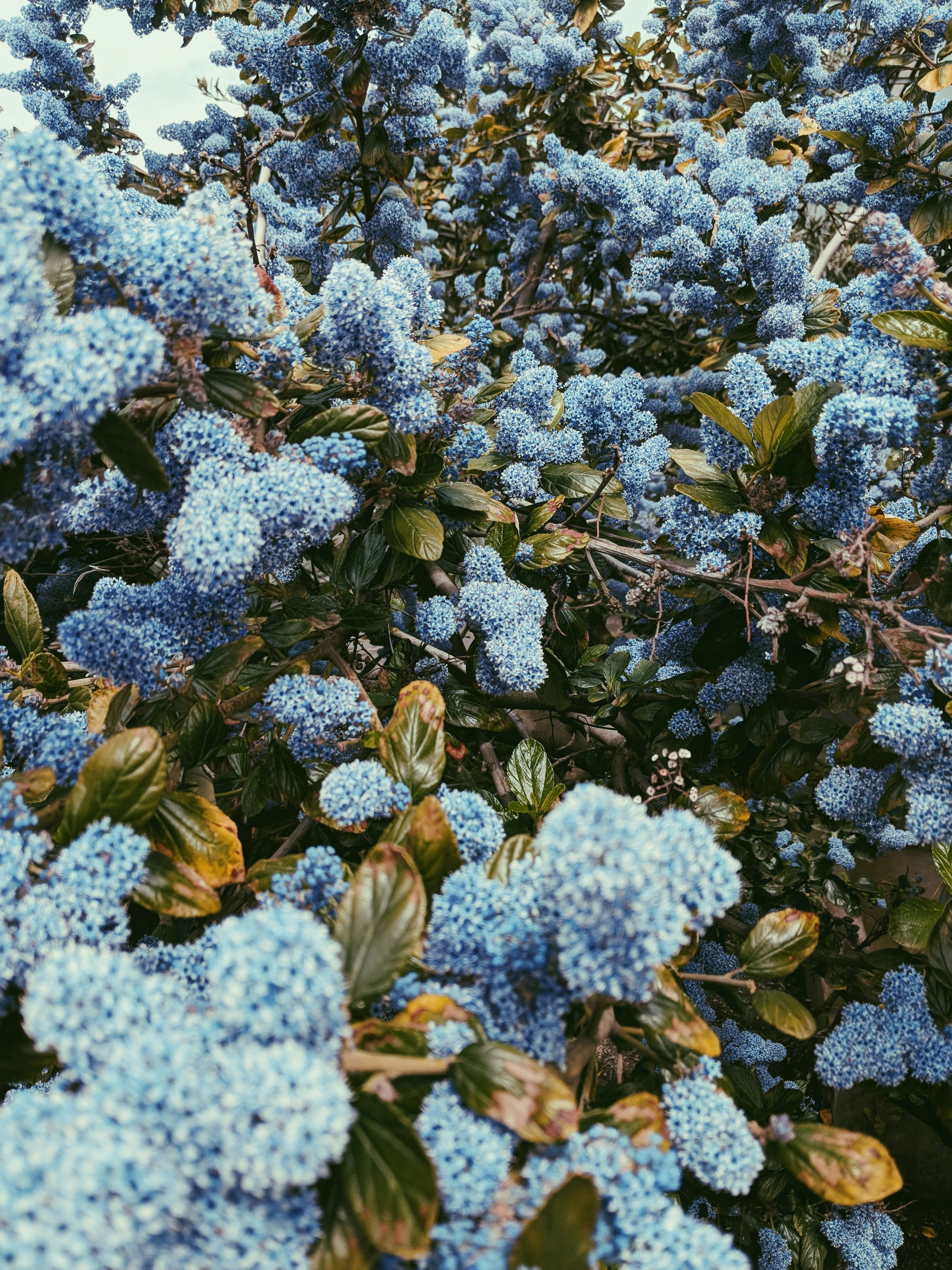 Photo by andrewwolff