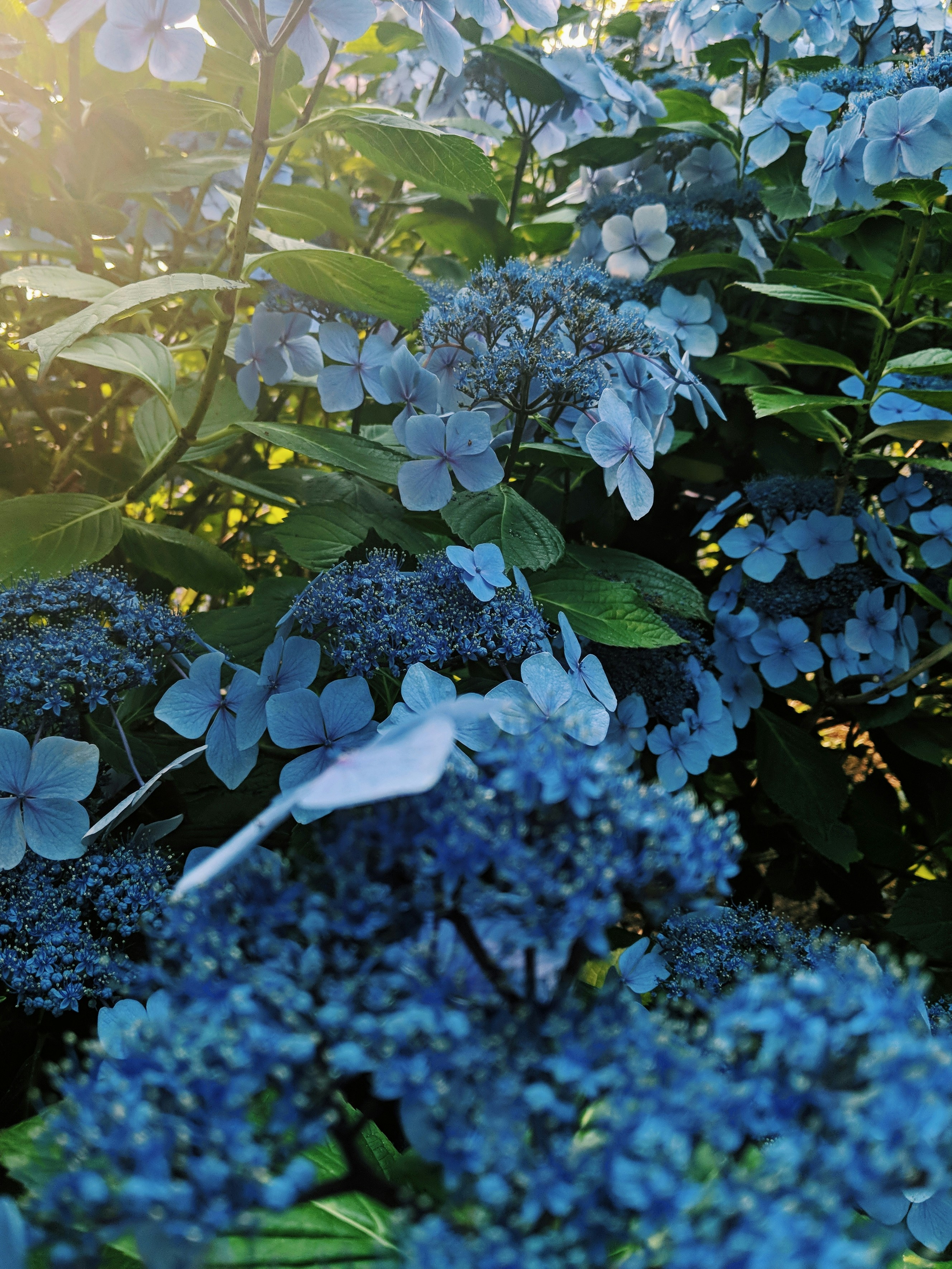 Photo by andrewwolff