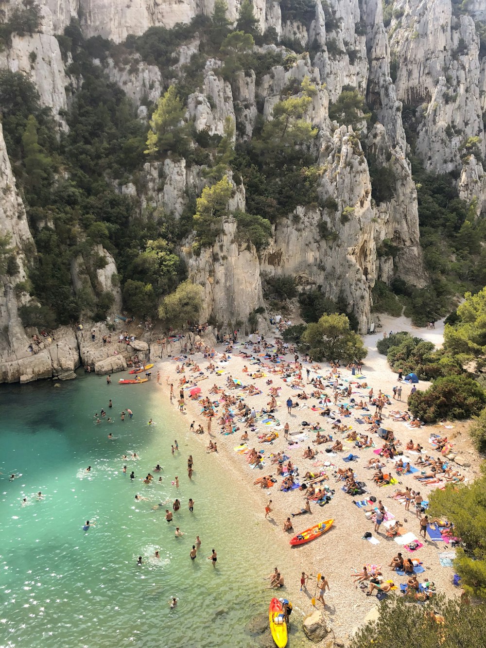 people on beach during daytime