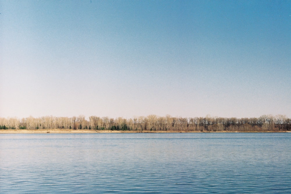 plan d’eau près des arbres pendant la journée