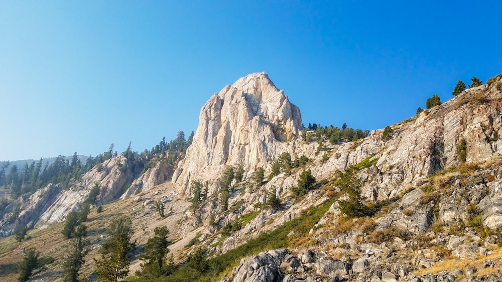 green trees on rocky mountain under blue sky during daytime