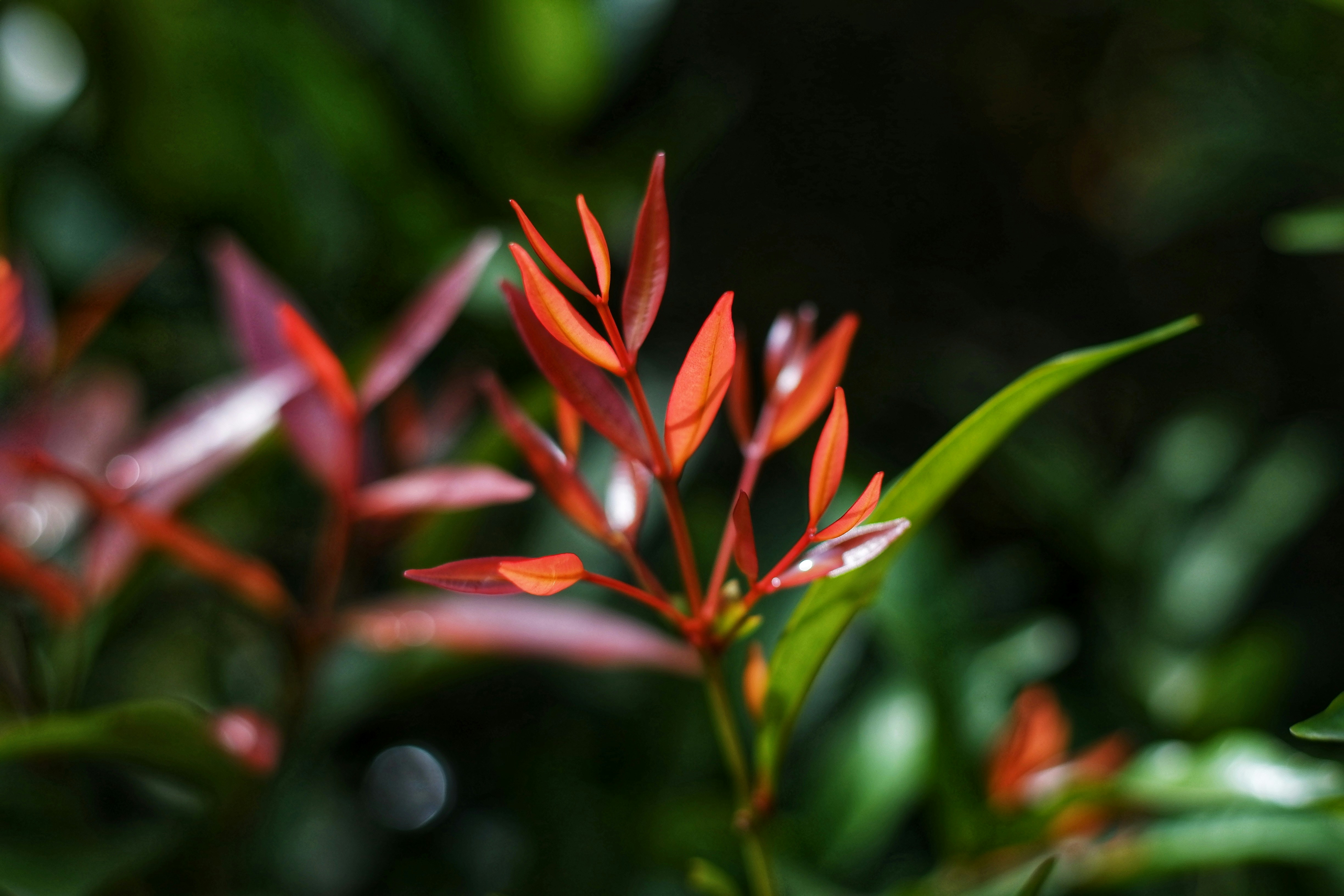 Photo by muaraibrahim