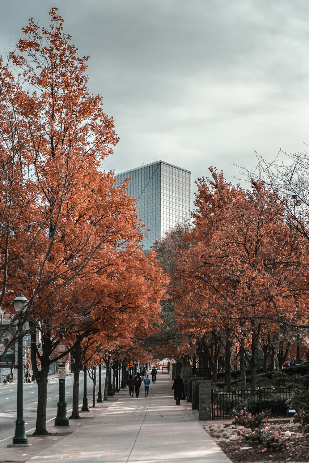 brown trees near white building during daytime