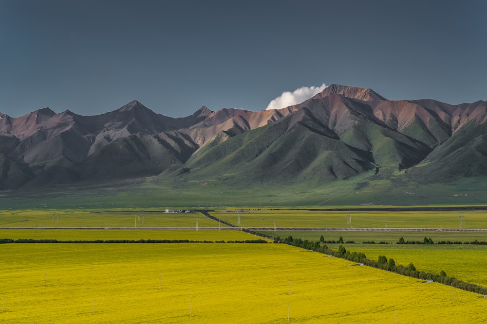 campo de grama verde perto da montanha sob o céu azul durante o dia