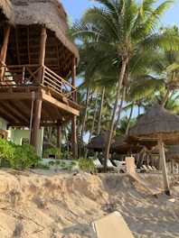 A cozy beachfront bungalow in Koh Samui surrounded by palm trees.