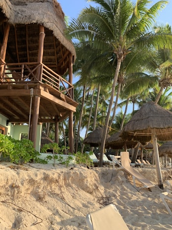 A tropical beach setting with a wooden thatch-roofed structure elevated on stilts, surrounded by lush green palm trees. The sandy beach is dotted with resort-style thatched umbrellas and lounge chairs.