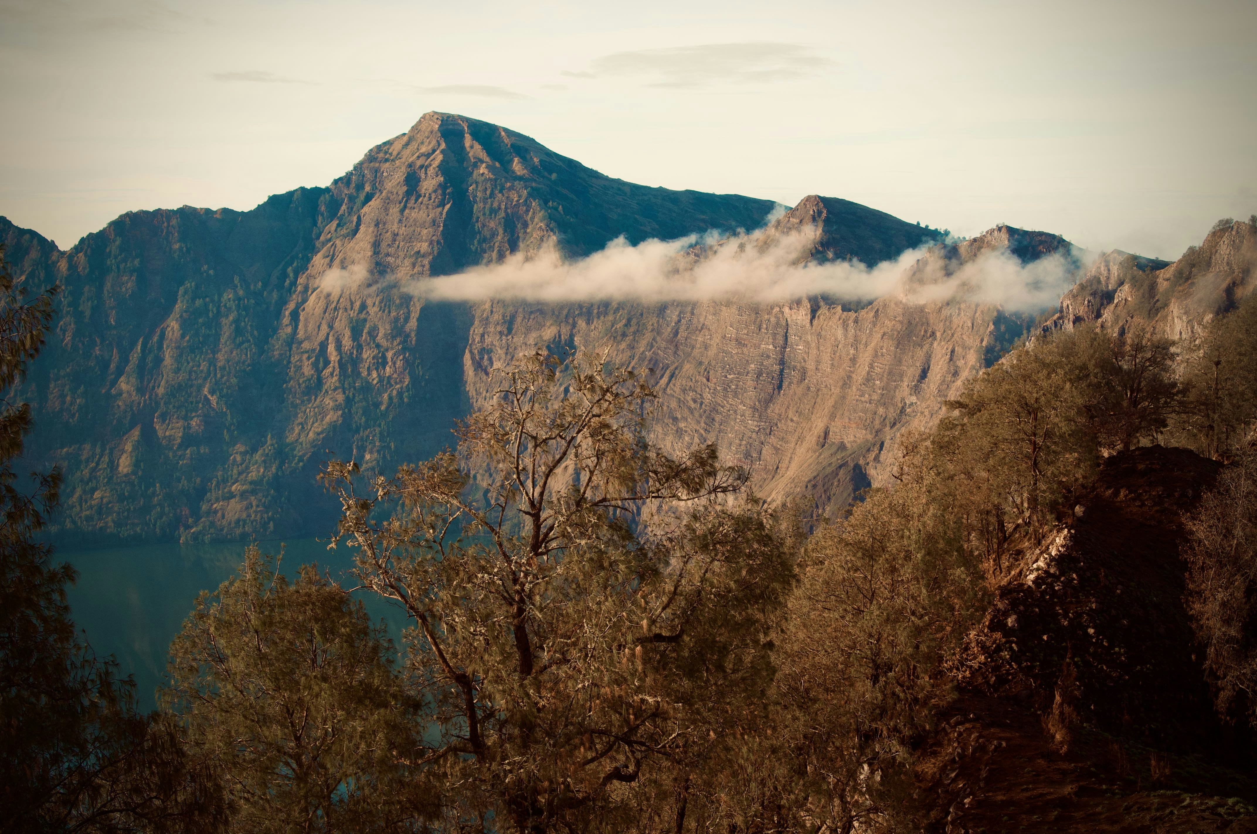 brown trees near brown mountain under white clouds during daytime