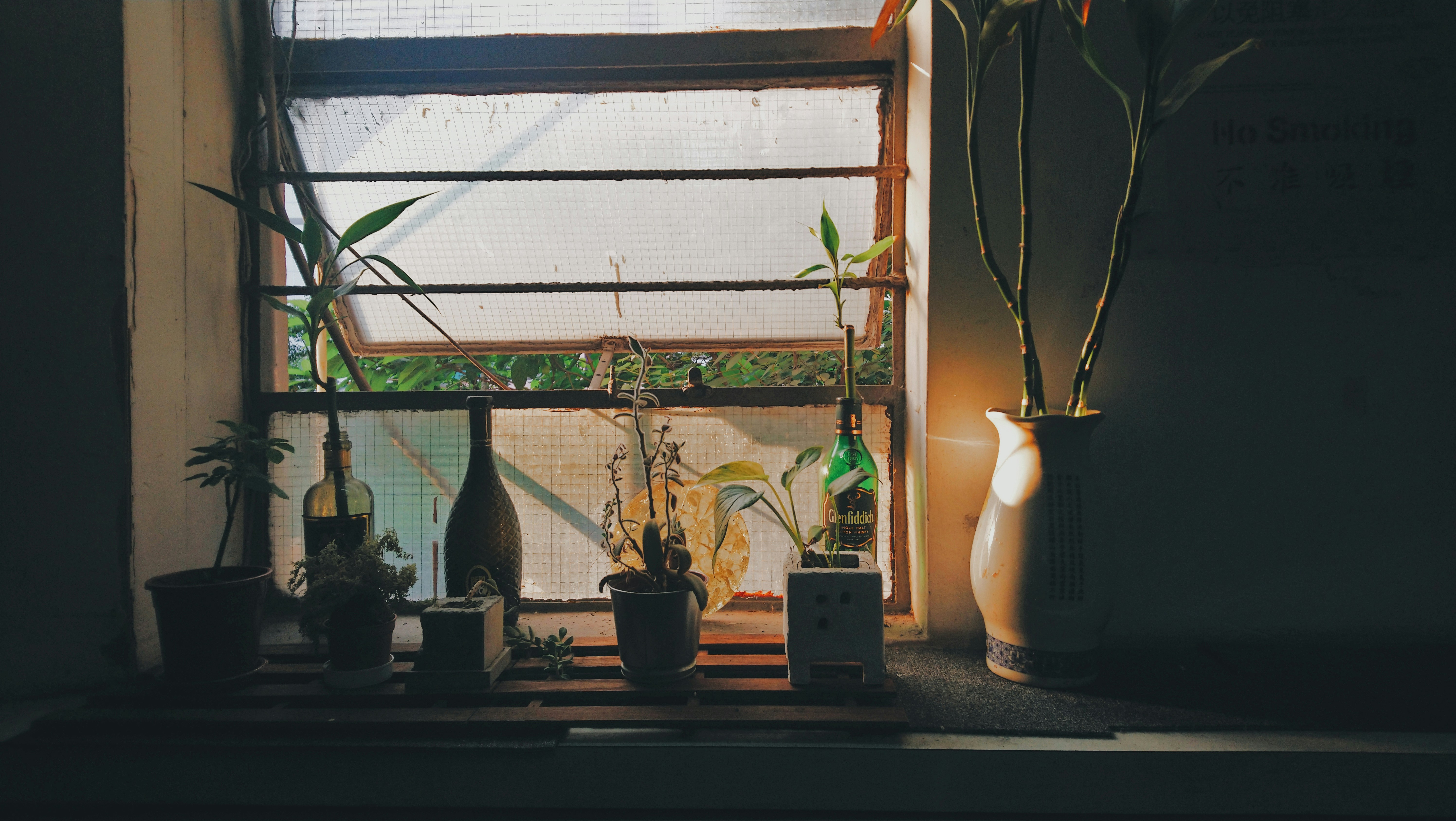 Photo by aikeaguinea