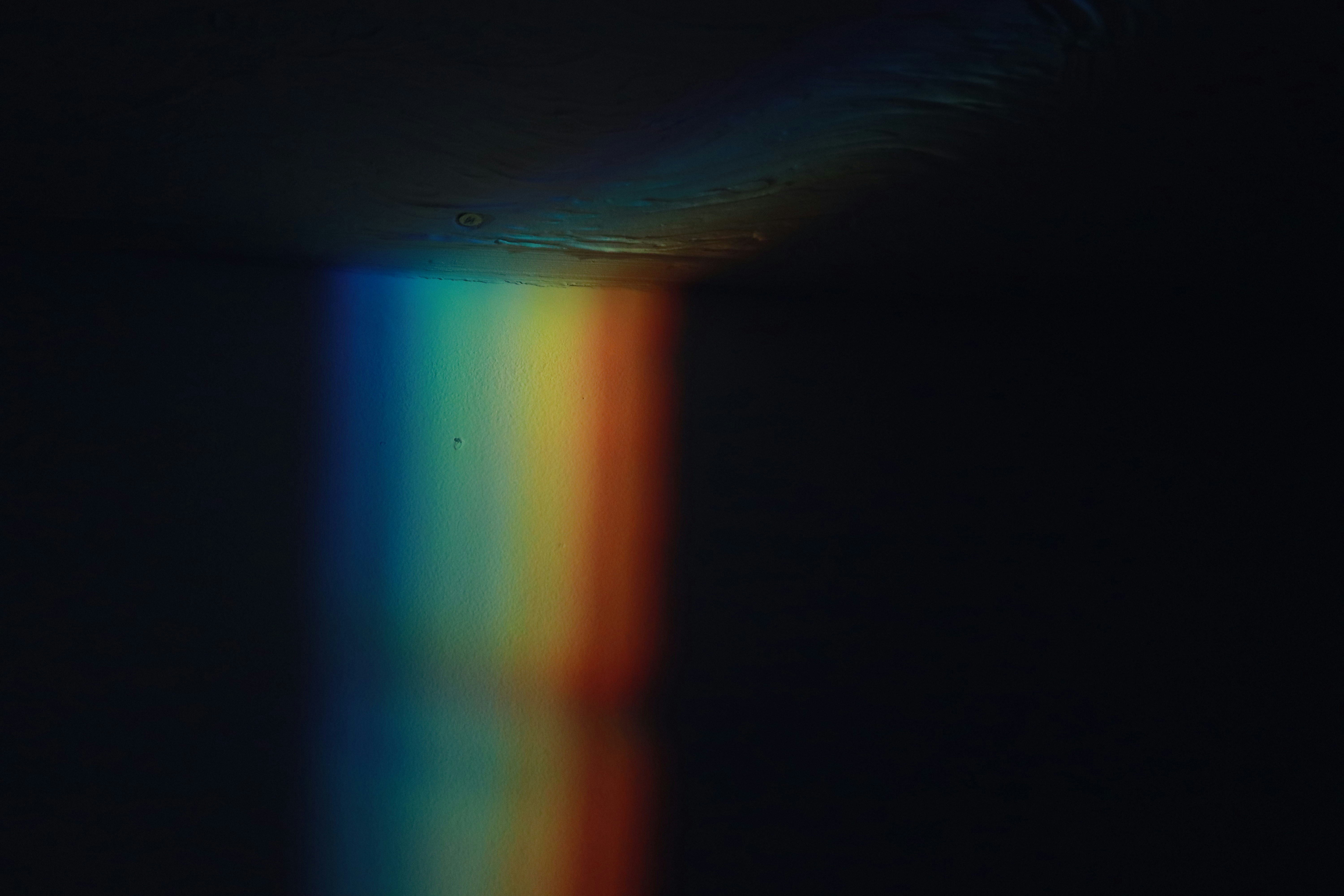 Photo by yourstruelyphotos